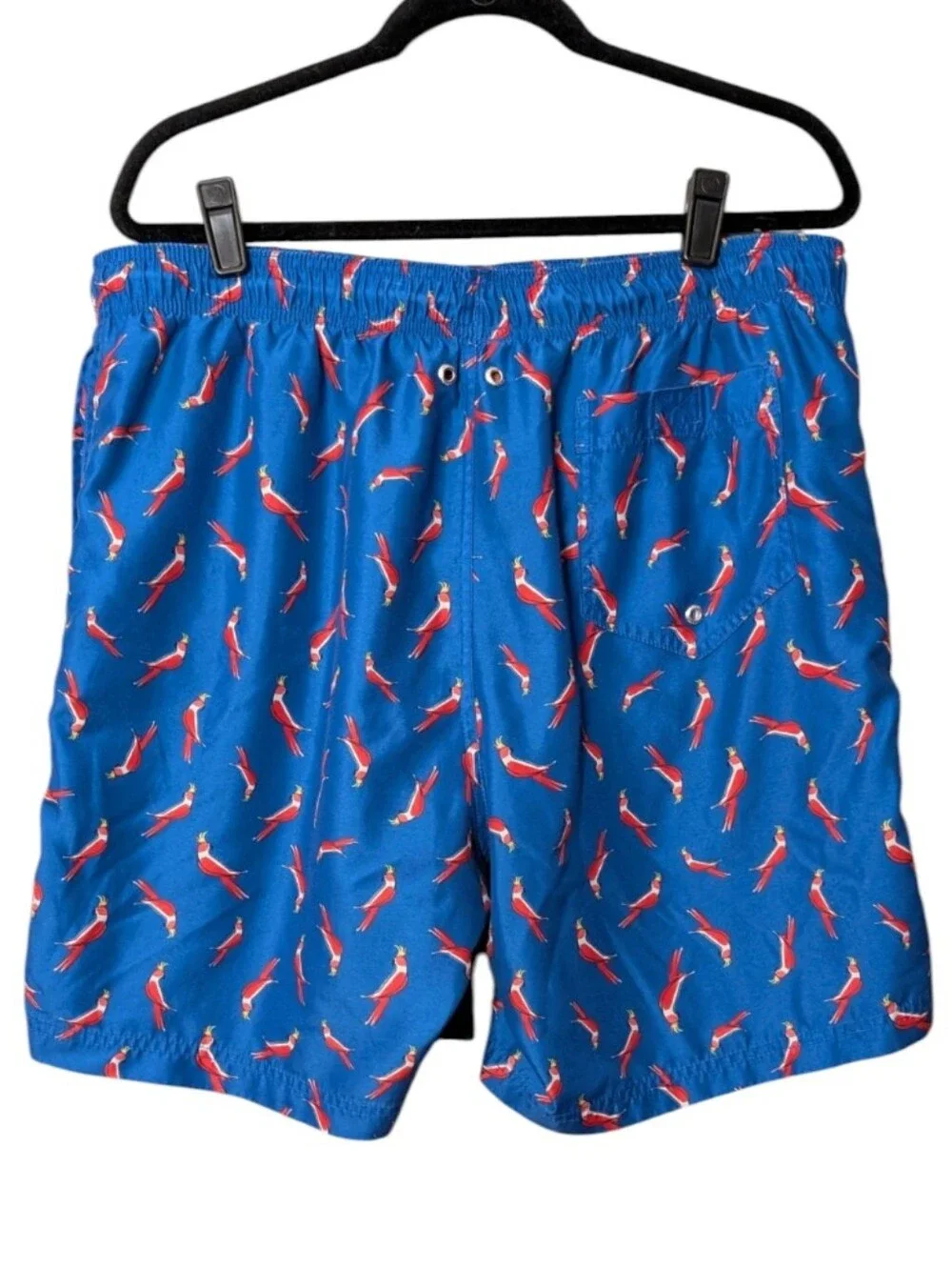 Lands' End Men's Blue Swim shorts Trunks Parrot Bird Print tropical size Large